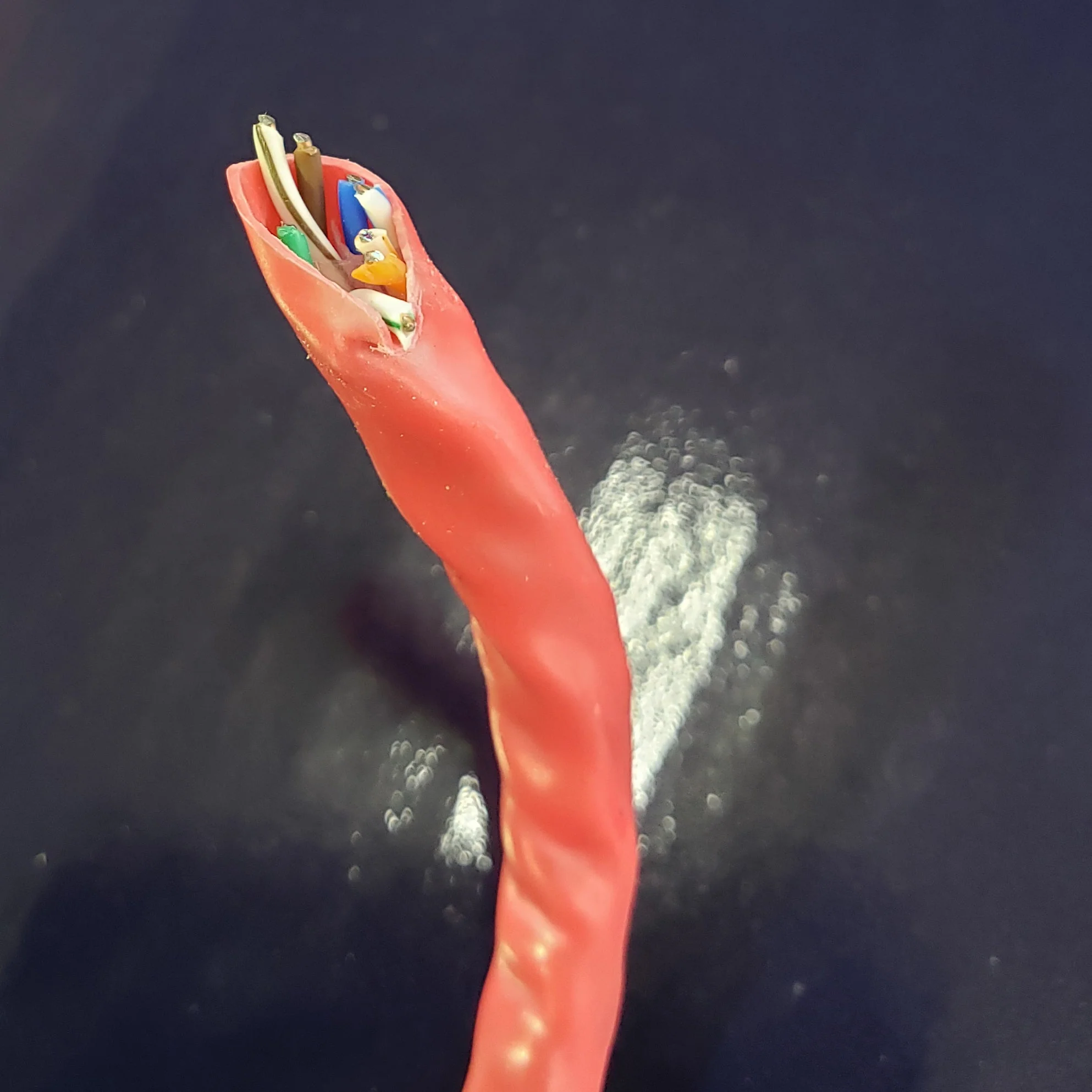 CAT-6 Cable Solid - Box of 1000' - Image 8