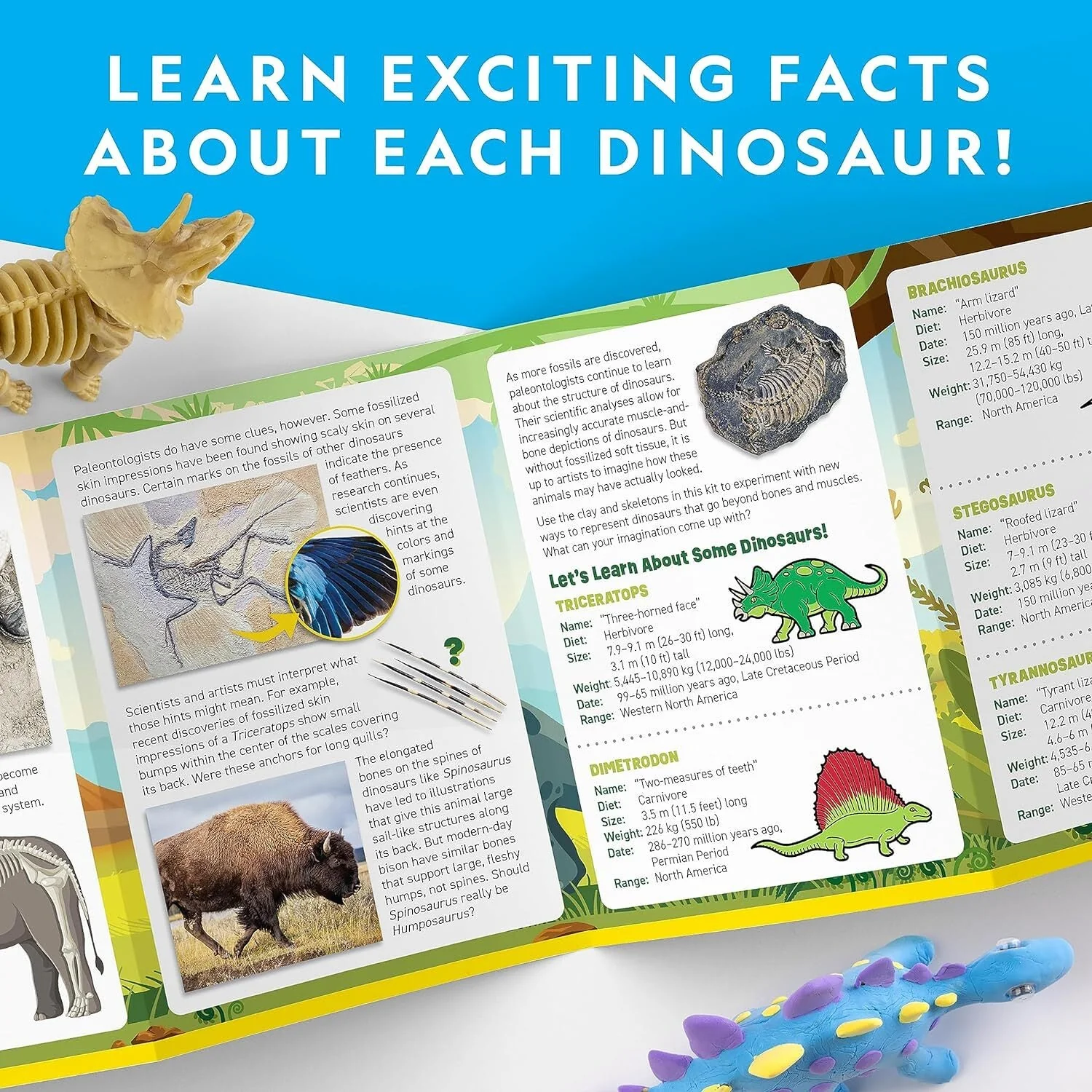 NATIONAL GEOGRAPHIC Clay Dinosaur Arts & Crafts Kit - Image 5