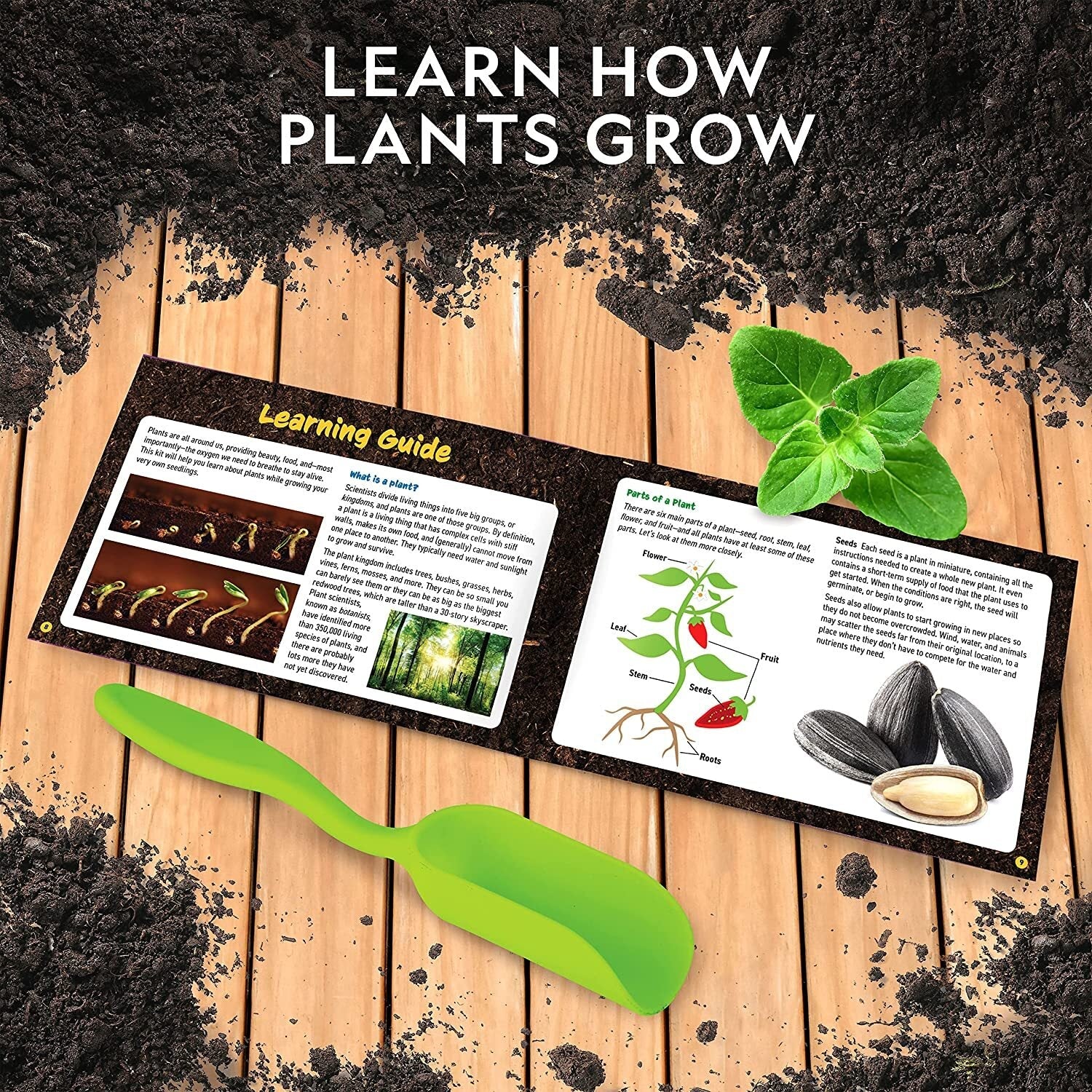 Herb Growing Kit for Kids - Image 4